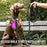 1 - Wolnne market0.6cm 1.5M1#DogLeash #PetLeash #ReflectiveLeash #StrongDogLeash #DogAccessories #GoldenRetrieverLeash #DogWalkingGear #PetSupplies #DogLovers #LeashForDogs #LargeDogLeash #MediumDogLeash #SmallDogLeash #PetProducts #ShopForDogs #DogGearWolnne marketWolnne market14:193;5:100014064#0.6cm 1.5Mblack