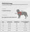 1 - Wolnne marketL1#PetHarness #DogHarness #ReflectiveHarness #SmallDogHarness #PetAccessories #DogLovers #PetSupplies #ChihuahuaHarness #BulldogHarness #NoPullHarness #PuppyHarness #DogApparel #PetFashion #PetProducts #ShopForPets #PetShopOnlineWolnne marketWolnne market14:193;5:361385black