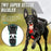 1 - Wolnne marketSCHINA1#DogHarnessShop #PetAccessoriesShop #ShopForPets #DogGearStore #CustomDogHarness #PetLoversShop #DogFashionShop #ShopForDogs #PetProductsShop #DogCollarShop #PuppyAccessoriesShop #PetStyleShop #PetGear #DogLifeShop #ShopForPetsOnlineWolnne marketWolnne market14:193#Black;200007763:201336100;5:100014064Black