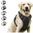 1 - Wolnne marketSCHINA1#DogHarnessShop #PetAccessoriesShop #ShopForPets #DogGearStore #CustomDogHarness #PetLoversShop #DogFashionShop #ShopForDogs #PetProductsShop #DogCollarShop #PuppyAccessoriesShop #PetStyleShop #PetGear #DogLifeShop #ShopForPetsOnlineWolnne marketWolnne market14:193#Black;200007763:201336100;5:100014064Black