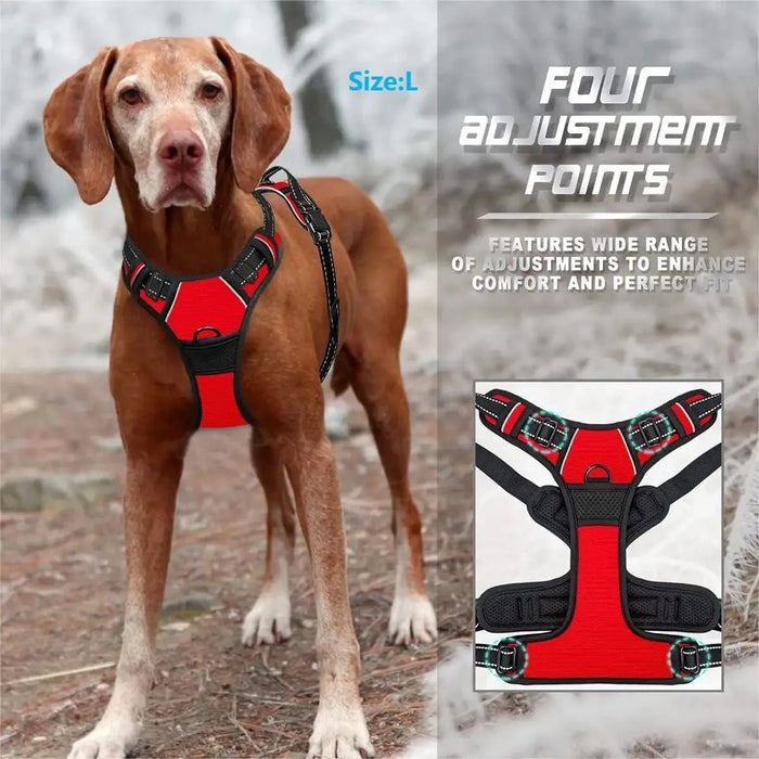 1 - Wolnne marketSCHINA1#DogHarnessShop #PetAccessoriesShop #ShopForPets #DogGearStore #CustomDogHarness #PetLoversShop #DogFashionShop #ShopForDogs #PetProductsShop #DogCollarShop #PuppyAccessoriesShop #PetStyleShop #PetGear #DogLifeShop #ShopForPetsOnlineWolnne marketWolnne market14:193#Black;200007763:201336100;5:100014064Black