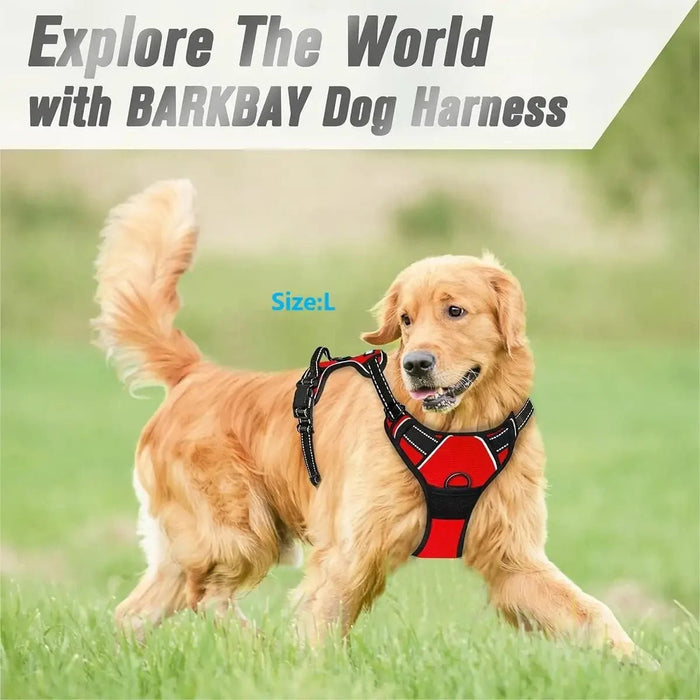 1 - Wolnne marketSCHINA1#DogHarnessShop #PetAccessoriesShop #ShopForPets #DogGearStore #CustomDogHarness #PetLoversShop #DogFashionShop #ShopForDogs #PetProductsShop #DogCollarShop #PuppyAccessoriesShop #PetStyleShop #PetGear #DogLifeShop #ShopForPetsOnlineWolnne marketWolnne market14:193#Black;200007763:201336100;5:100014064Black