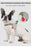 Reflective Pet Dog Harness For Small Medium Dogs Cat No Pull Vest Harnesses Puppy Chest Strap Pug Chihuahua Bulldog Supplies - Wolnne marketLReflective Pet Dog Harness For Small Medium Dogs Cat No Pull Vest Harnesses Puppy Chest Strap Pug Chihuahua Bulldog Supplies#PetHarness #DogHarness #ReflectiveHarness #SmallDogHarness #PetAccessories #DogLovers #PetSupplies #ChihuahuaHarness #BulldogHarness #NoPullHarness #PuppyHarness #DogApparel #PetFashion #PetProducts #ShopForPets #PetShopOnlineWolnne m