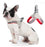 Reflective Pet Dog Harness For Small Medium Dogs Cat No Pull Vest Harnesses Puppy Chest Strap Pug Chihuahua Bulldog Supplies - Wolnne marketLReflective Pet Dog Harness For Small Medium Dogs Cat No Pull Vest Harnesses Puppy Chest Strap Pug Chihuahua Bulldog Supplies#PetHarness #DogHarness #ReflectiveHarness #SmallDogHarness #PetAccessories #DogLovers #PetSupplies #ChihuahuaHarness #BulldogHarness #NoPullHarness #PuppyHarness #DogApparel #PetFashion #PetProducts #ShopForPets #PetShopOnlineWolnne m